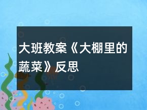 大班教案《大棚里的蔬菜》反思