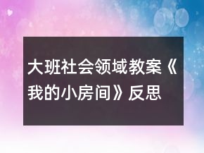 大班社會領(lǐng)域教案《我的小房間》反思