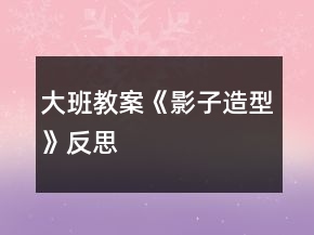 大班教案《影子造型》反思