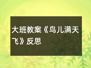 大班教案《鳥(niǎo)兒滿天飛》反思