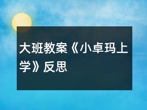 大班教案《小卓瑪上學(xué)》反思