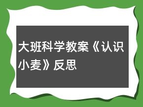 大班科學教案《認識小麥》反思