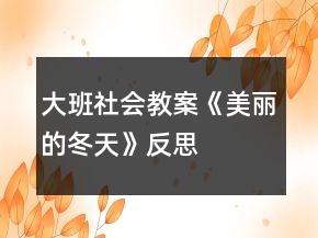 大班社會教案《美麗的冬天》反思