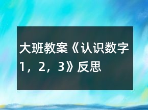 大班教案《認(rèn)識(shí)數(shù)字1，2，3》反思