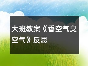 大班教案《香空氣臭空氣》反思
