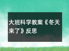 大班科學(xué)教案《冬天來(lái)了》反思