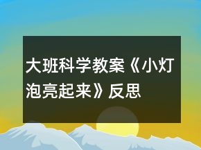 大班科學(xué)教案《小燈泡亮起來(lái)》反思
