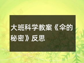大班科學教案《傘的秘密》反思