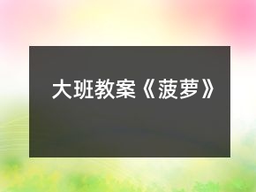 大班教案《菠蘿》