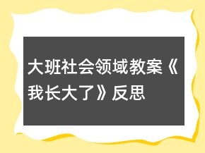 大班社會領(lǐng)域教案《我長大了》反思