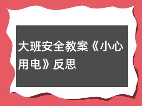 大班安全教案《小心用電》反思