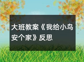 大班教案《我給小鳥安個家》反思