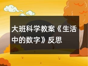 大班科學教案《生活中的數(shù)字》反思