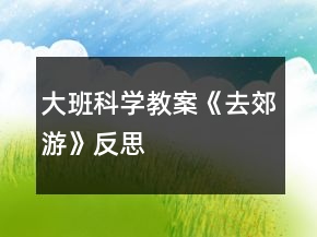 大班科學教案《去郊游》反思