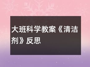 大班科學(xué)教案《清潔劑》反思