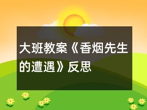 大班教案《香煙先生的遭遇》反思