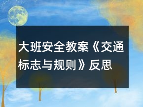 大班安全教案《交通標(biāo)志與規(guī)則》反思