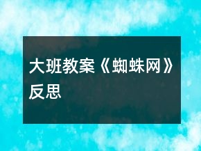 大班教案《蜘蛛網(wǎng)》反思