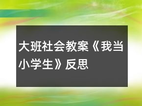 大班社會(huì)教案《我當(dāng)小學(xué)生》反思