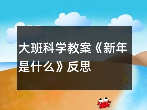 大班科學教案《新年是什么》反思