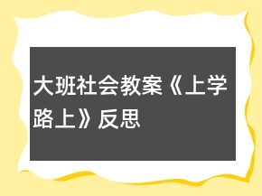大班社會(huì)教案《上學(xué)路上》反思