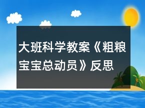 大班科學教案《粗糧寶寶總動員》反思