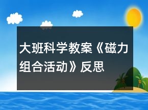 大班科學(xué)教案《磁力組合活動(dòng)》反思