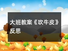 大班教案《吹牛皮》反思