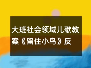 大班社會(huì)領(lǐng)域兒歌教案《留住小鳥》反思