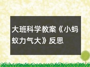 大班科學教案《小螞蟻力氣大》反思