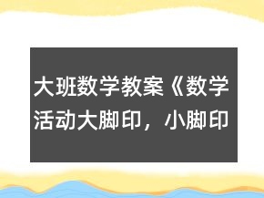 大班數(shù)學(xué)教案《數(shù)學(xué)活動(dòng)：大腳印，小腳印》反思