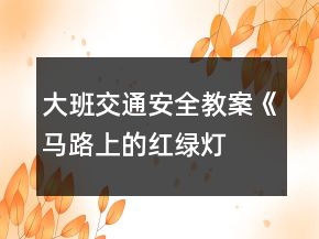 大班交通安全教案《馬路上的“紅綠燈” 》反思
