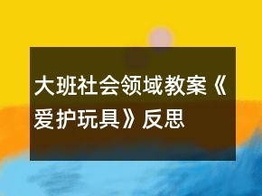 大班社會領(lǐng)域教案《愛護玩具》反思