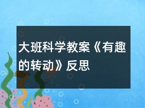 大班科學(xué)教案《有趣的轉(zhuǎn)動(dòng)》反思