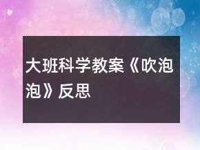 大班科學(xué)教案《吹泡泡》反思