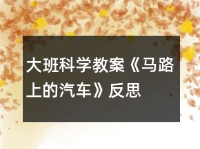 大班科學(xué)教案《馬路上的汽車》反思