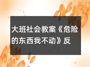 大班社會(huì)教案《危險(xiǎn)的東西我不動(dòng)》反思