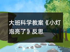 大班科學(xué)教案《小燈泡亮了》反思