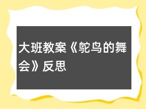 大班教案《鴕鳥的舞會》反思