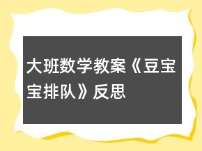 大班數(shù)學教案《豆寶寶排隊》反思