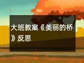 大班教案《美麗的橋》反思