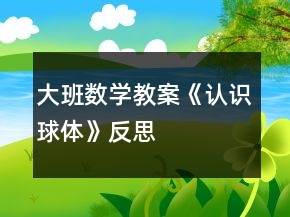 大班數(shù)學(xué)教案《認(rèn)識球體》反思
