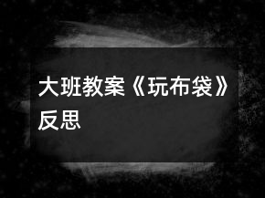 大班教案《玩布袋》反思
