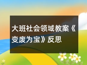 大班社會領(lǐng)域教案《變廢為寶》反思