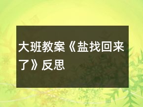 大班教案《鹽找回來了》反思
