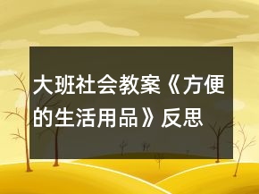 大班社會教案《方便的生活用品》反思