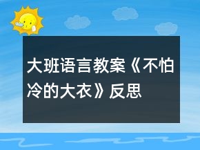 大班語(yǔ)言教案《不怕冷的大衣》反思