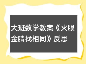 大班數(shù)學(xué)教案《火眼金睛找相同》反思