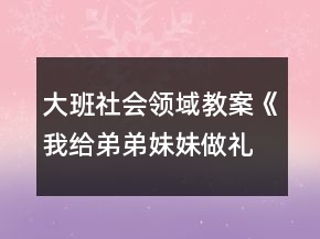 大班社會領域教案《我給弟弟妹妹做禮物》反思
