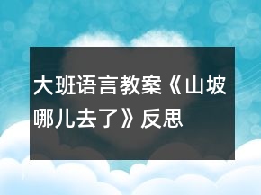 大班語言教案《山坡哪兒去了》反思